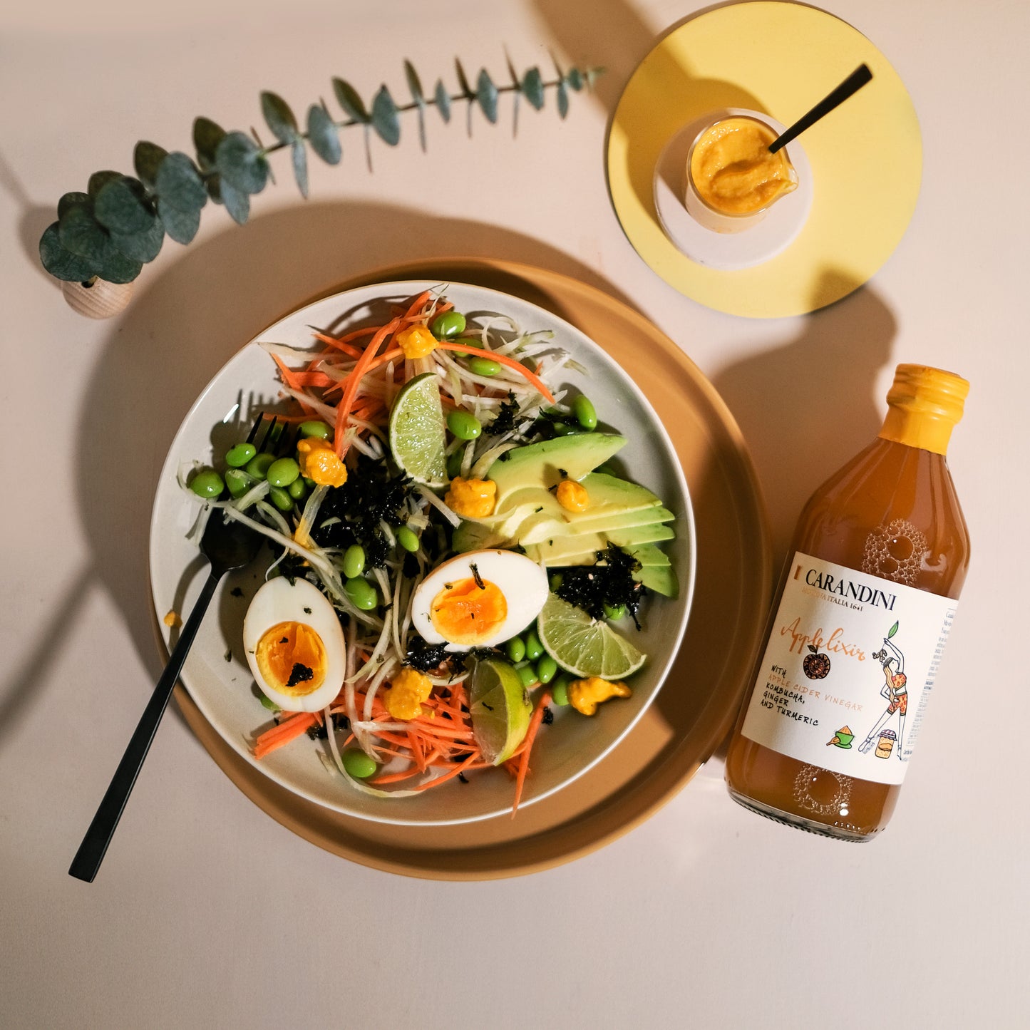 Applelixir with Apple Cider Vinegar, Kombucha, Ginger and Turmeric