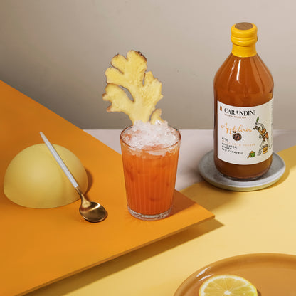 Applelixir with Apple Cider Vinegar, Kombucha, Ginger and Turmeric